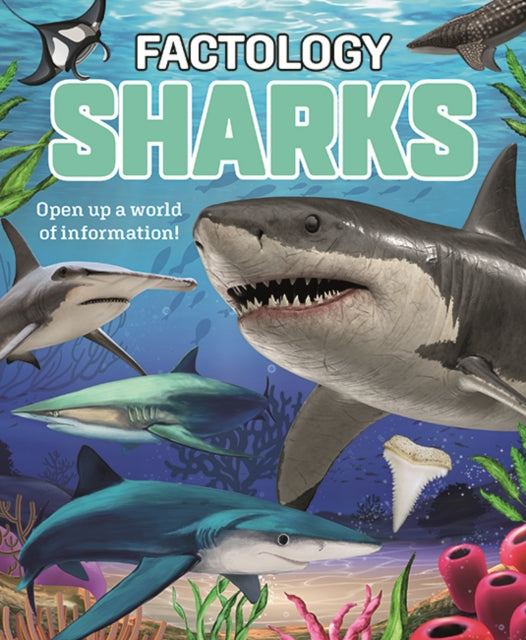 9781787081789-Factology: Sharks : Open Up a World of Information!