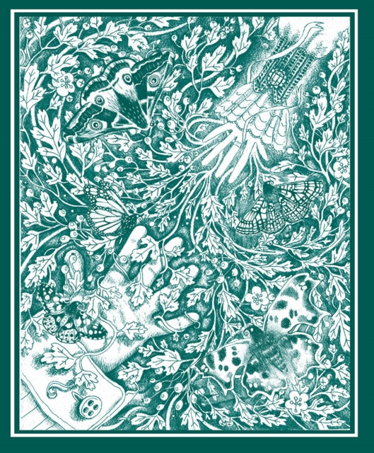 9781788495172, The Stolen Child