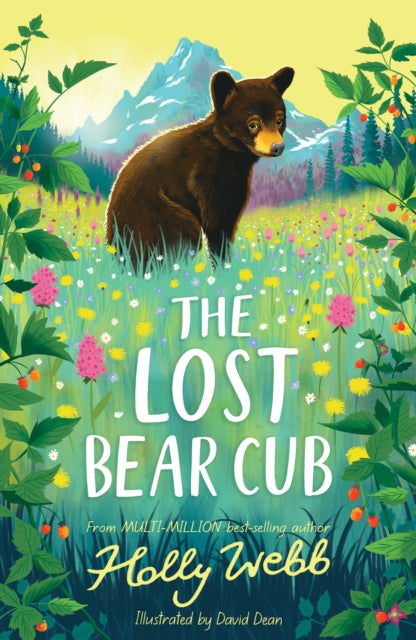 9781788956062-The Lost Bear Cub