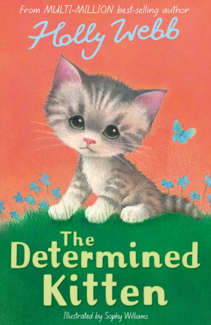 9781788956505-The Determined Kitten