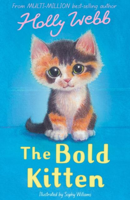 9781788957397-The Bold Kitten