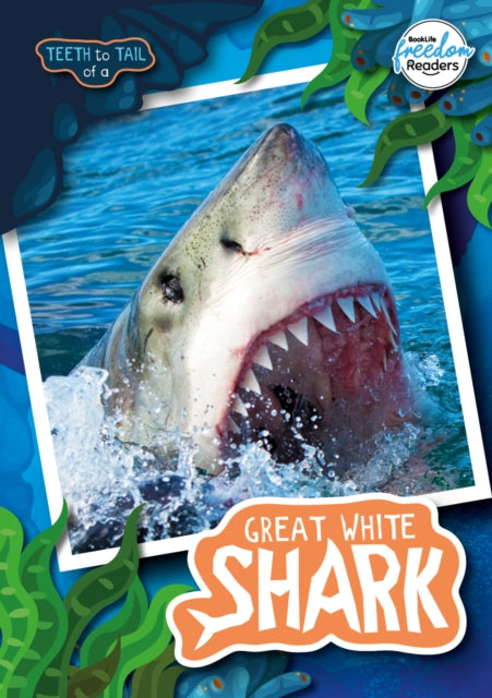 9781801551304-Teeth to Tail of a Great White Shark