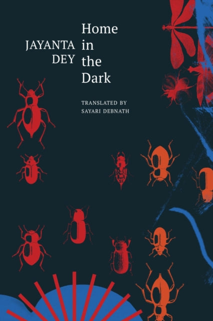 9781803095714, Home in the Dark : Selected Stories