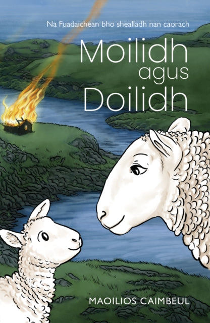 9781804251324, Moilidh agus Doilidh