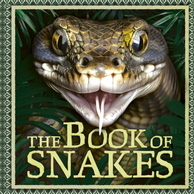 9781804538333-The Book of Snakes