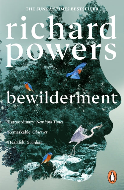 9781804951668-Bewilderment