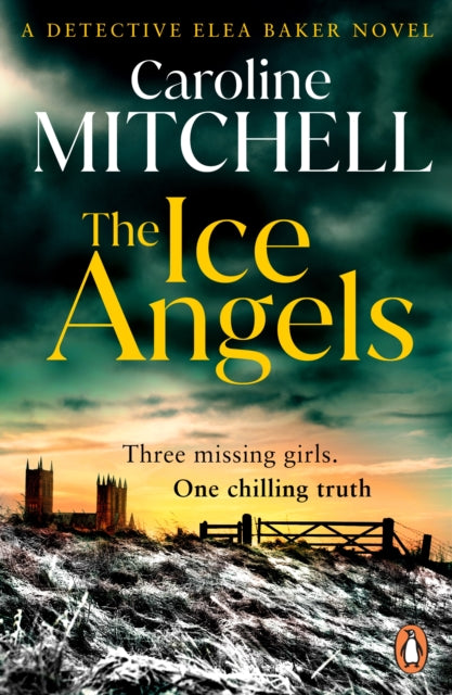 9781804955284, The Ice Angels