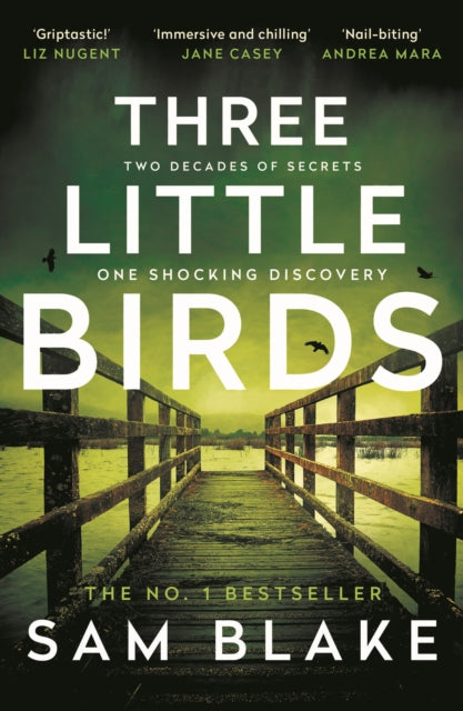9781805460145-Three Little Birds : 'The modern-day Agatha Christie' Steve Cavanagh