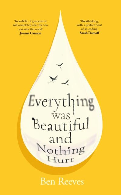 9781805465799, Everything was Beautiful and Nothing Hurt : `Incredible... I guarantee it will completely alter the way you view the world' Joanna Cannon