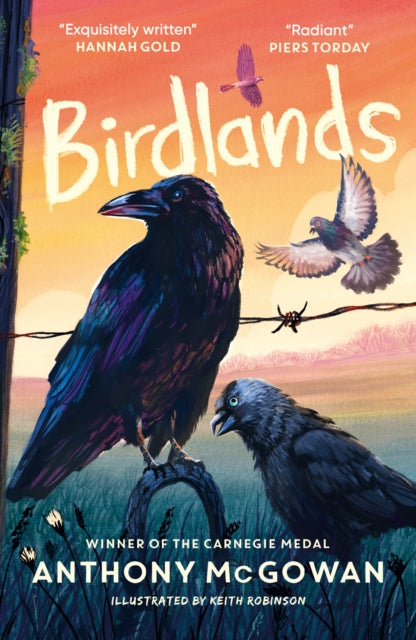 9781836431800, Birdlands