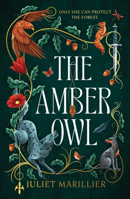 9781837867721, The Amber Owl : Volume 1