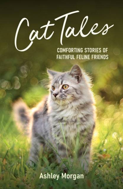 9781837992829-Cat Tales : Comforting Stories of Faithful Feline Friends