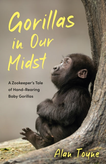 9781837995257-Gorillas in Our Midst : A Zookeeper's Tale of Hand-Rearing Baby Gorillas