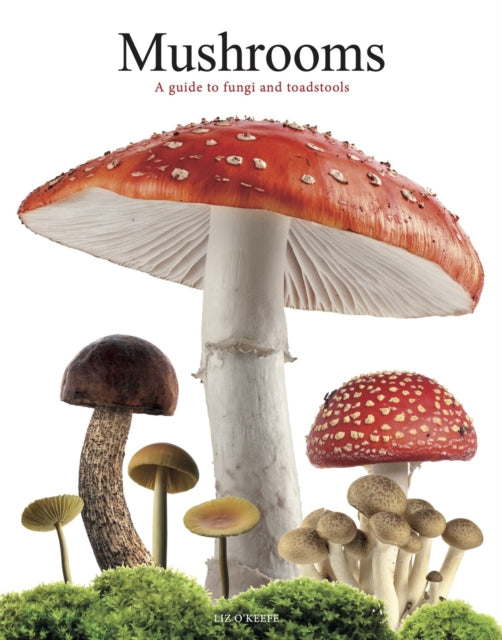9781838864392-Mushrooms : A guide to fungi and toadstools