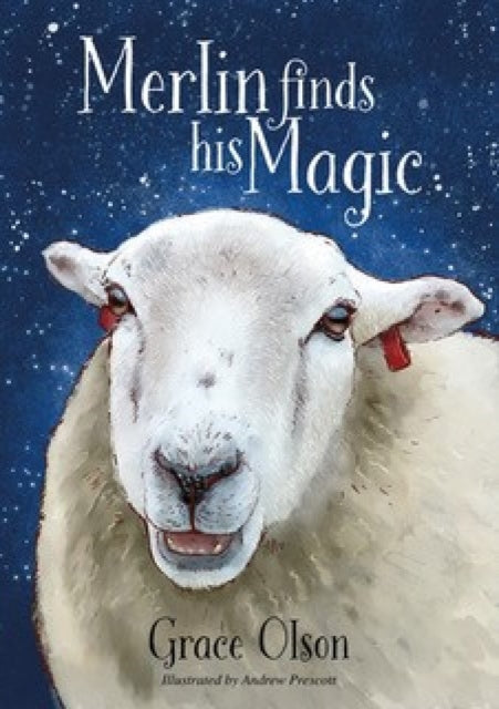 9781839527357-Merlin finds his Magic