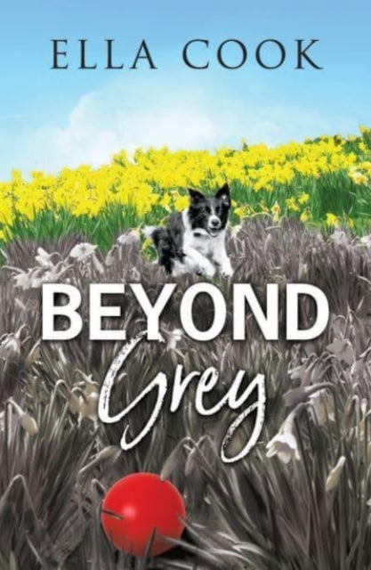 9781912550425-Beyond Grey