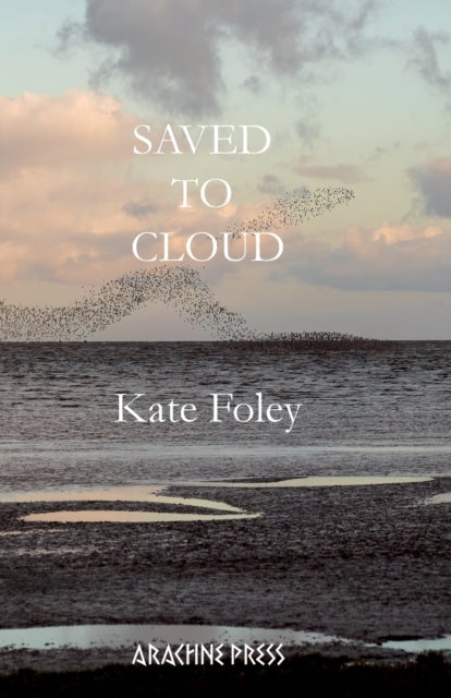9781913665760-Saved to Cloud
