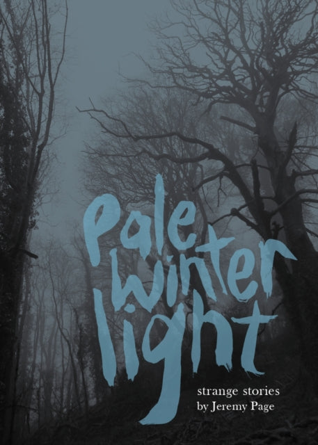 9781916905191, Pale Winter Light
