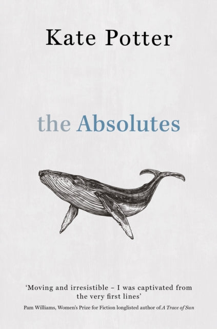 9781917163668-The Absolutes : a profound exploration of grief told through fragments of memory