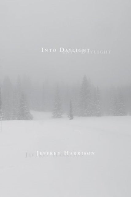 9781936797431, Into Daylight