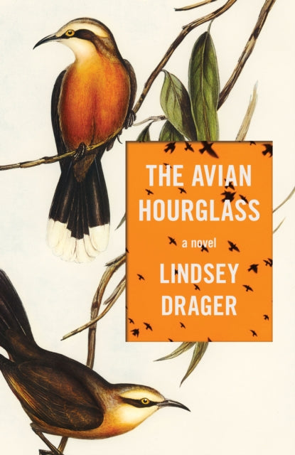 9781950539970-The Avian Hourglass