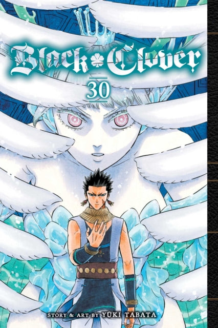 9781974732319-Black Clover, Vol. 30 : Volume 30