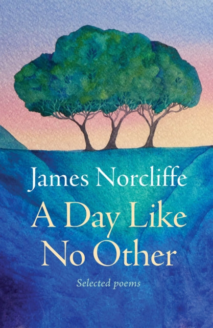 9781991348166, A Day Like No Other : Selected poems