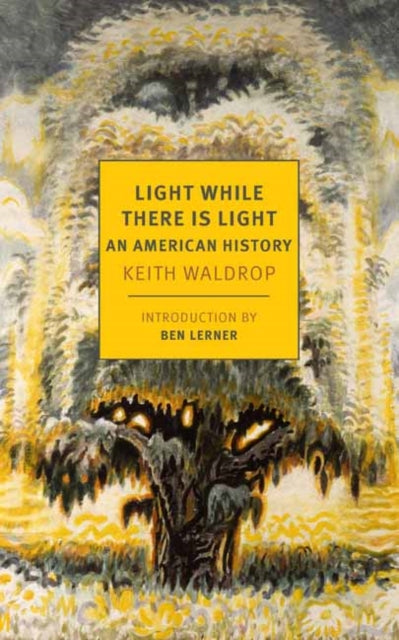 9798896230366, Light While There is Light : An American History