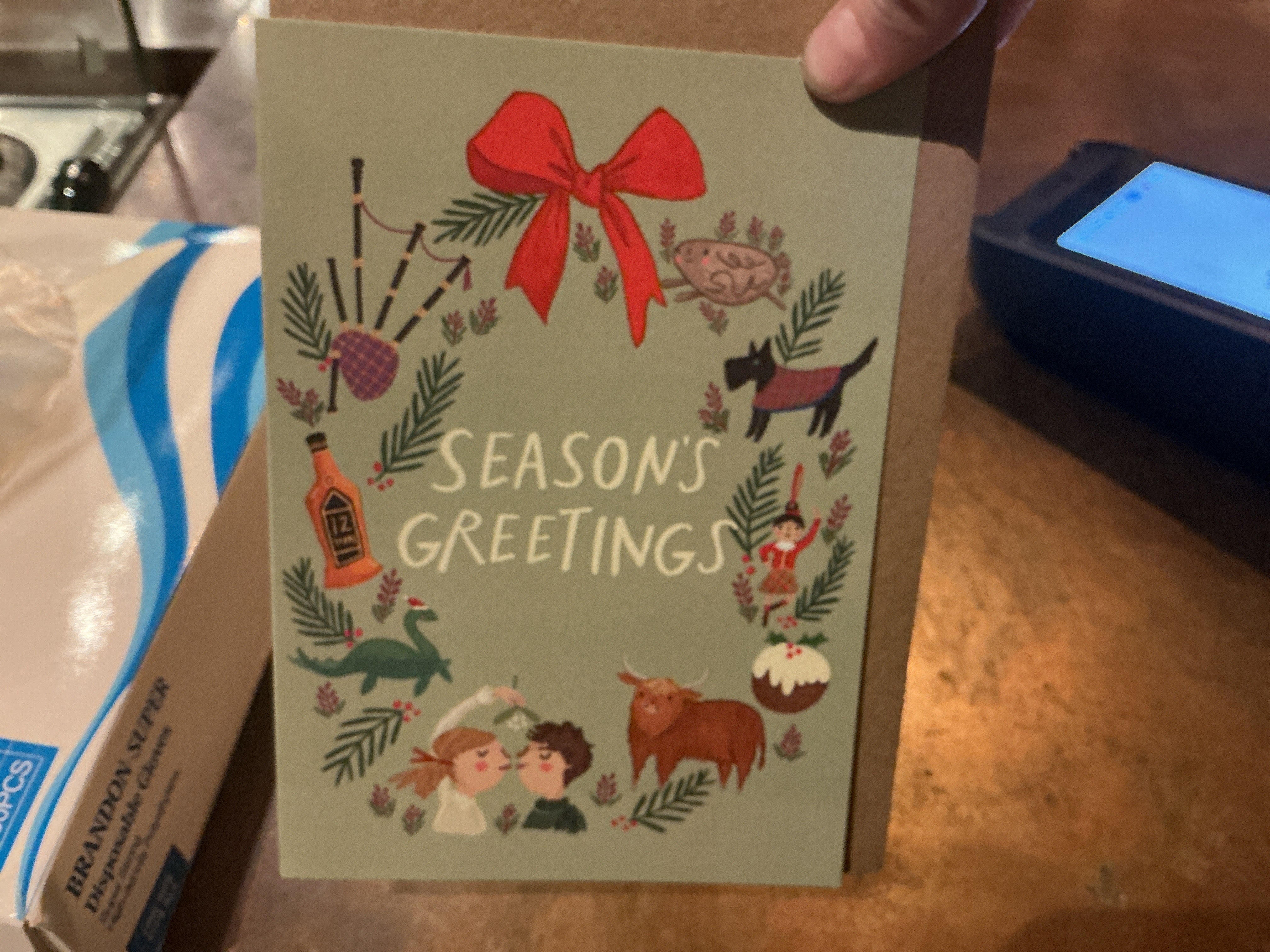 Seasons Greetings Garland (Joy Nevada Card)